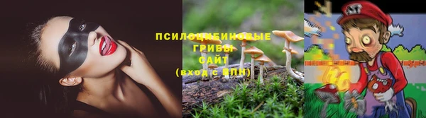 a pvp Алзамай