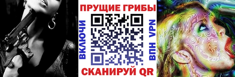 Псилоцибиновые грибы Psilocybe  Баймак 